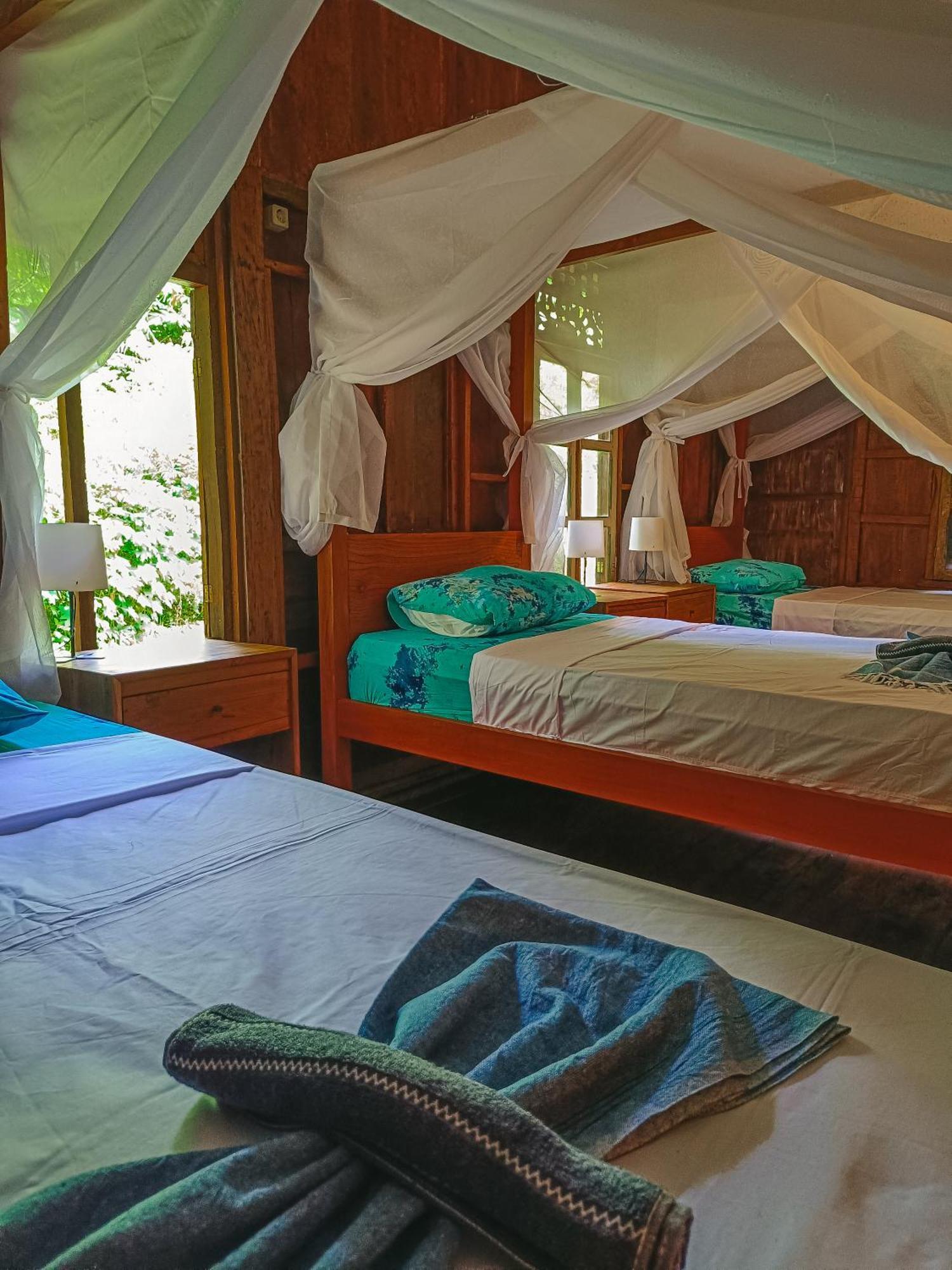 Alaya Ecolodge Pemuteran Eksteriør bilde