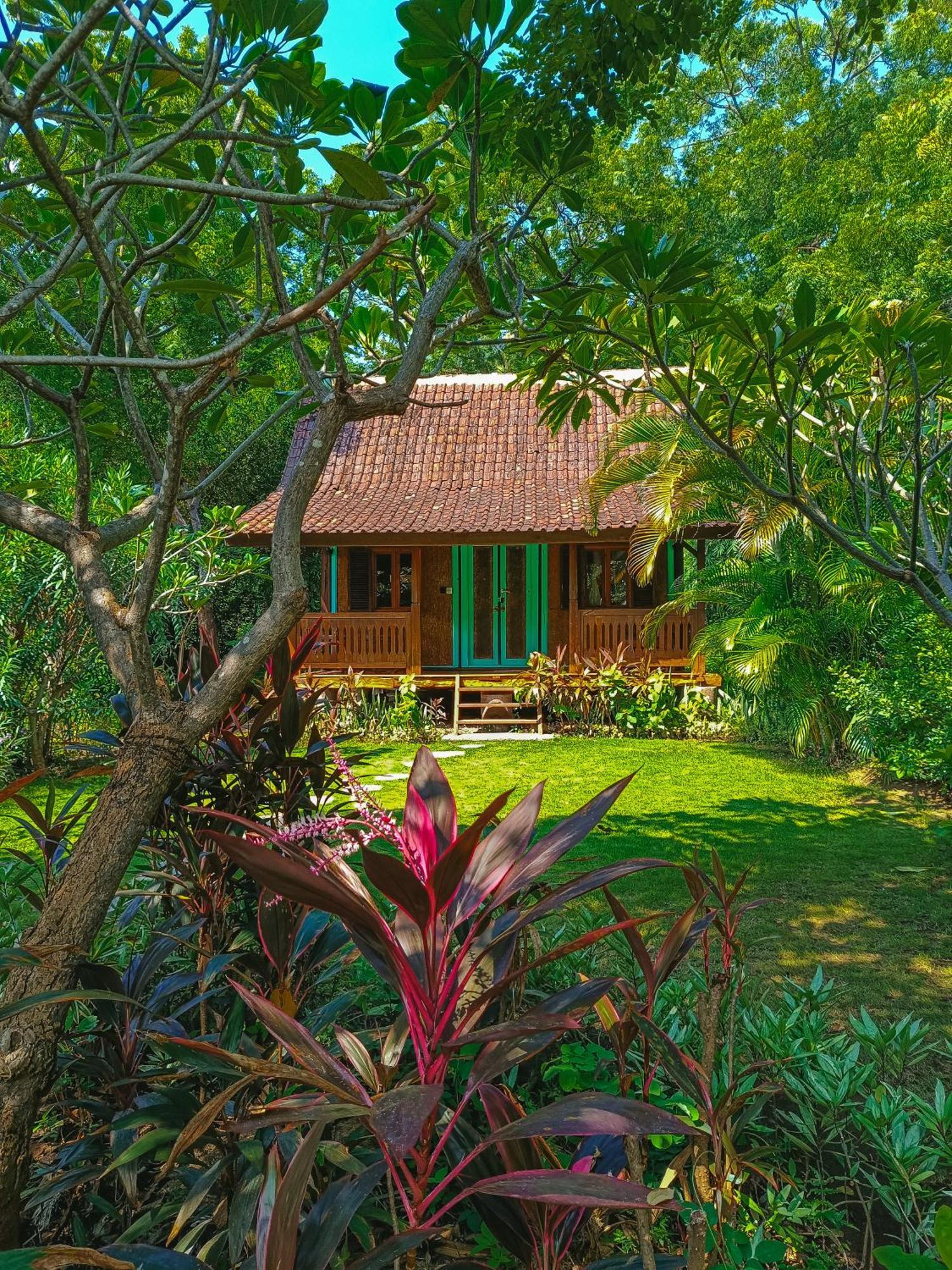 Alaya Ecolodge Pemuteran Eksteriør bilde
