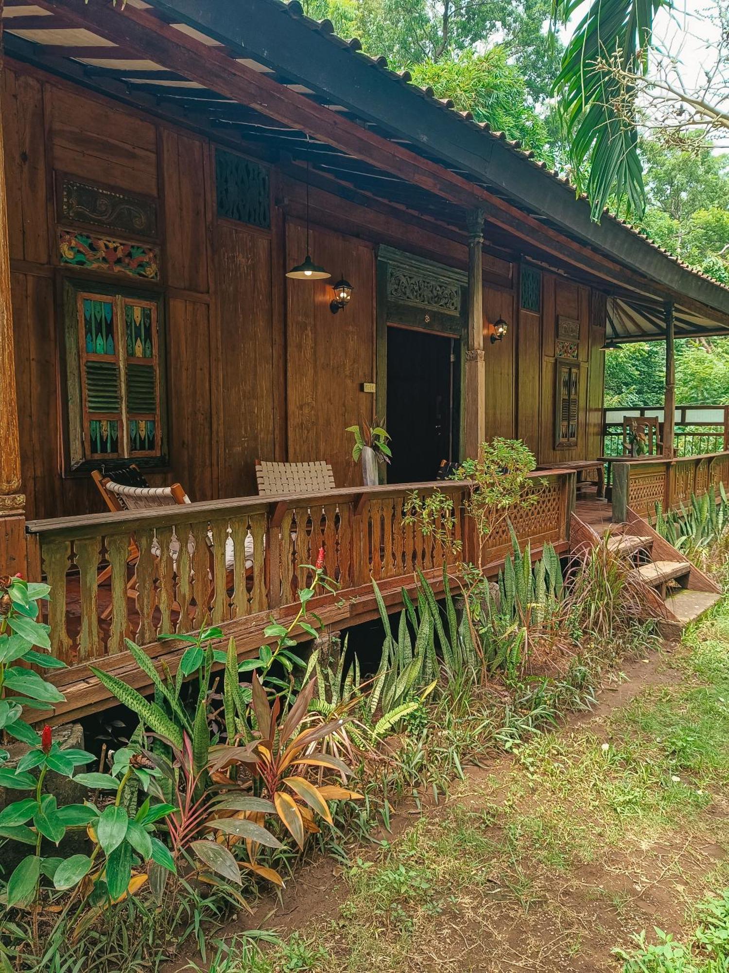 Alaya Ecolodge Pemuteran Eksteriør bilde