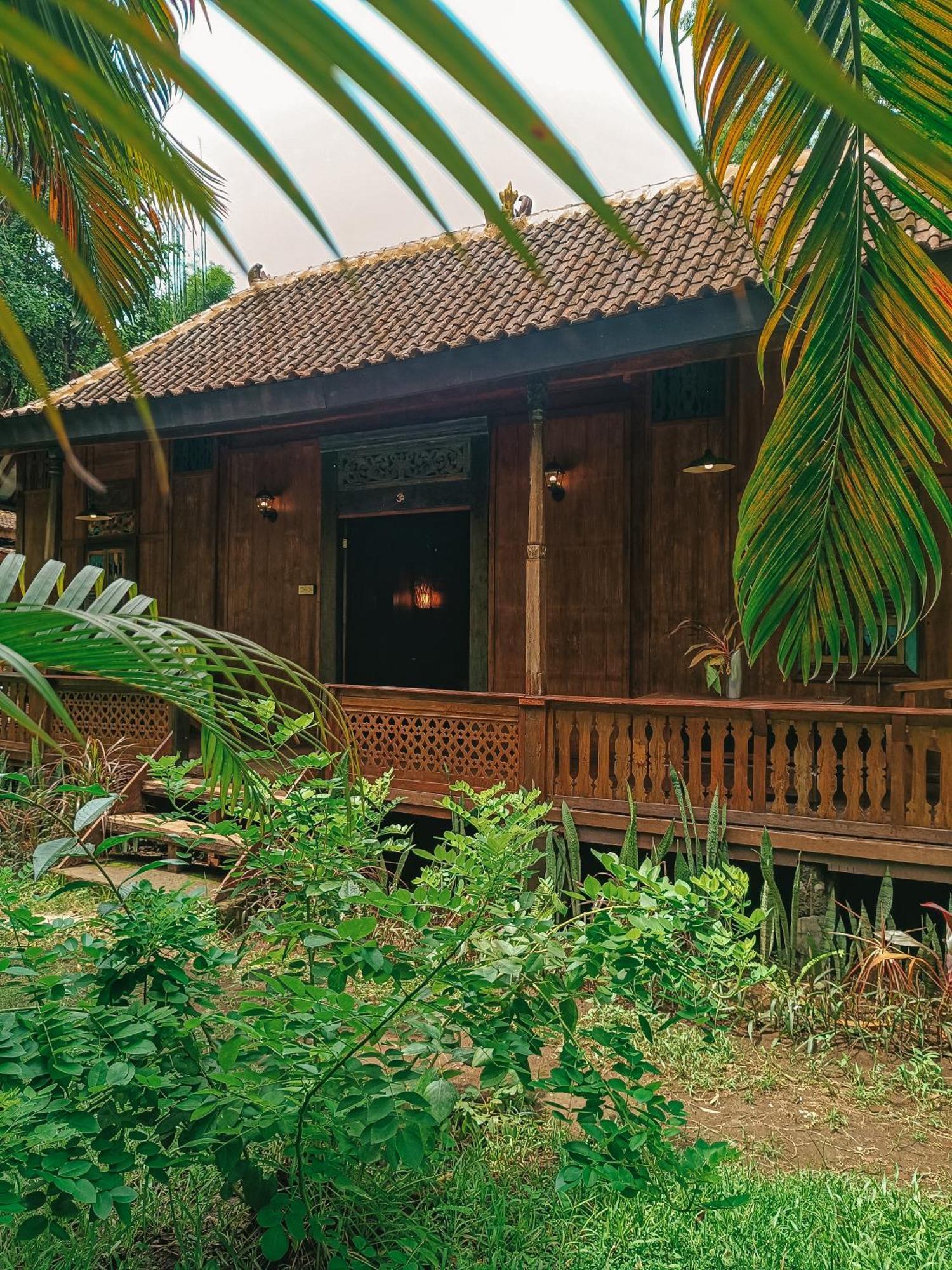 Alaya Ecolodge Pemuteran Eksteriør bilde