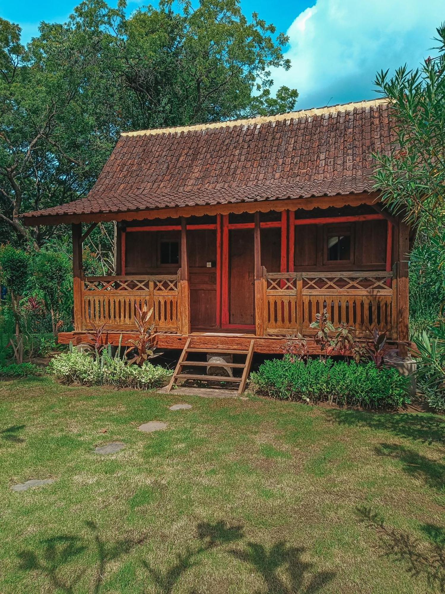 Alaya Ecolodge Pemuteran Eksteriør bilde